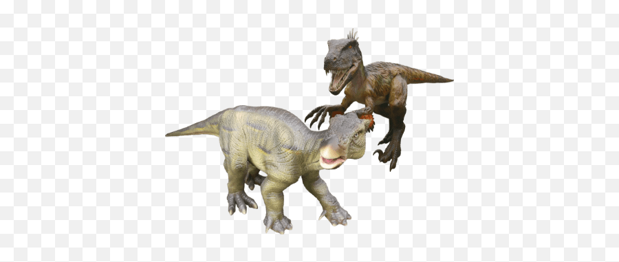 Park Map Katsuyama Dinopark Emoji,What Does The T Rex Emoji Mean