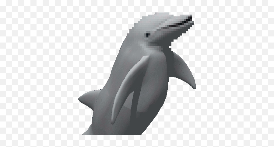Funny Gifs Dolphin Gif - Vsgifcom Emoji,Bite Lip Emoji Meme