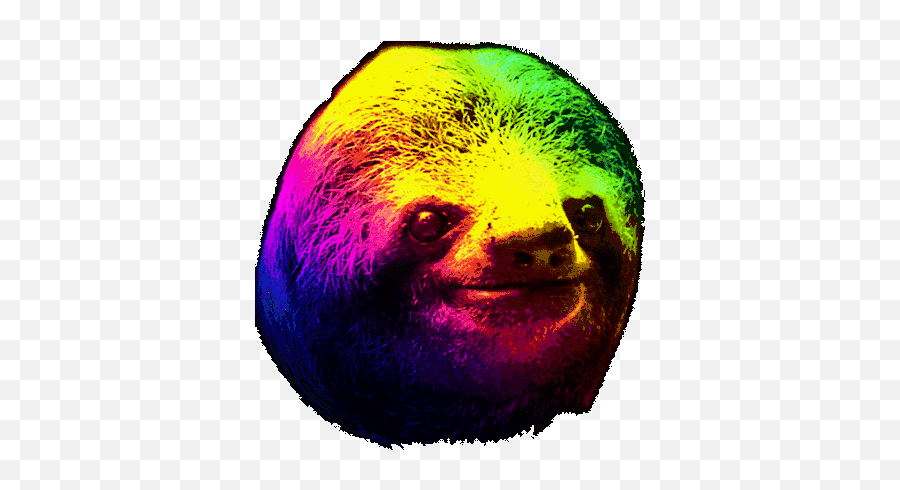 Lordsloth - Cute Transparent Sloth Gifs Emoji,Unwavering Emotions Pokemon