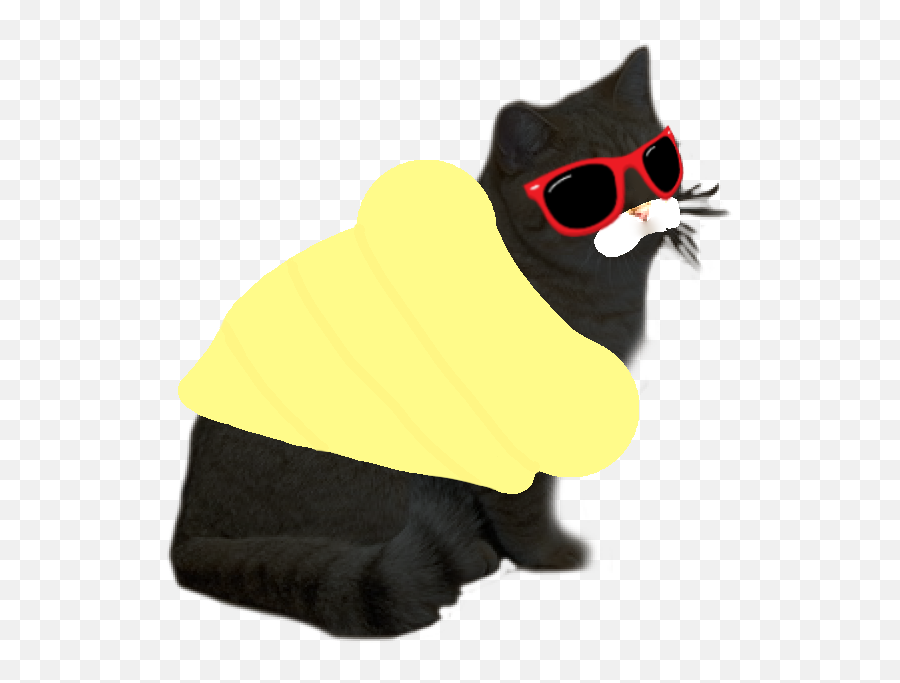 Le Wacky And Uncharacteristic Music Cats Have Arrived - Cat Apparel Emoji,Throwing Shade Emoji