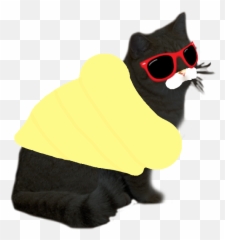 Le Wacky And Uncharacteristic Music Cats Have Arrived - Cat Apparel Emoji,Throwing Shade Emoji