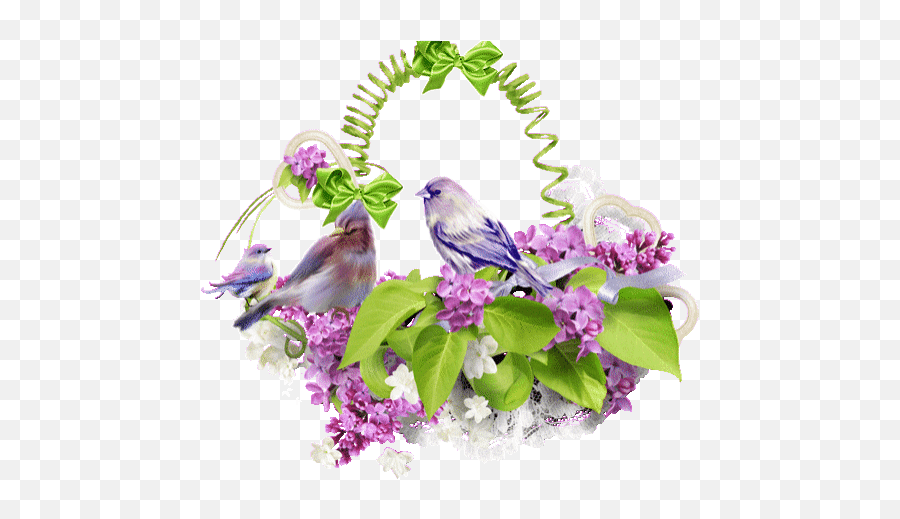 Top Java Sparrow Stickers For Android U0026 Ios Gfycat - Lovely Emoji,Purple Bird Emoji
