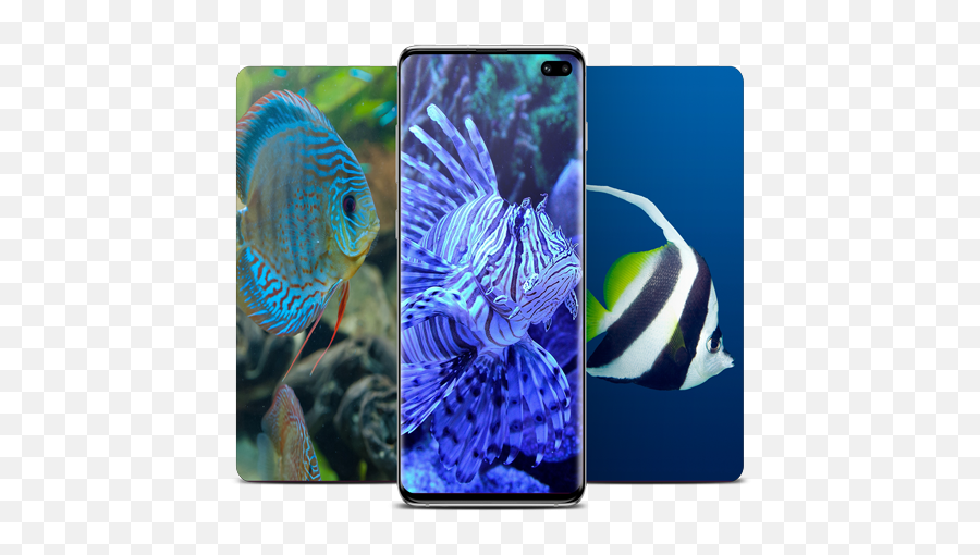Fish Wallpaper Latest Version Apk Download - Comfish Smartphone Emoji,Puffer Fish Emoji