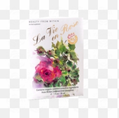 Ecomaat Bulgaria Oildeology Rosacea Skin 1 And Emoji,Roses Are Senstive To Emotion