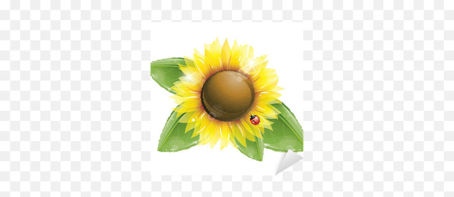 Beautiful Sunflower And Green Leaves Isolated On White Emoji,Flowers Emojis Sticker Png
