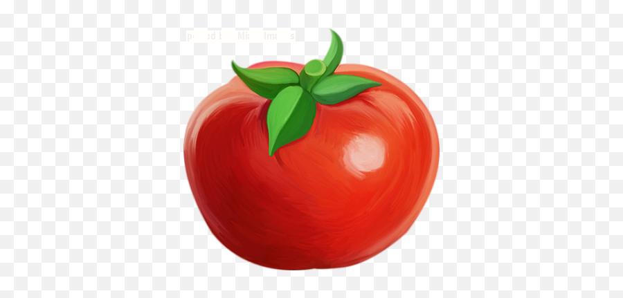 Miam - Imagescenterblognetrublegumestomateshtml Seo Review Emoji,Tomatoes Emoji