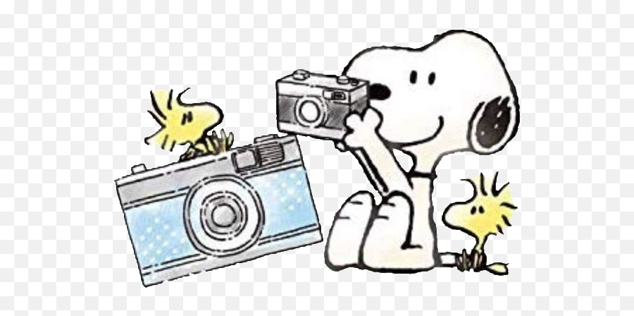 Snoopy Camera Peanuts Sticker - Snoopy Camera Emoji,Snoopy Emojis