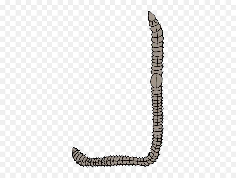 Earth Worm Png Svg Clip Art For Web - Frames Worm Border Clipart Emoji,Earthworm Emoji