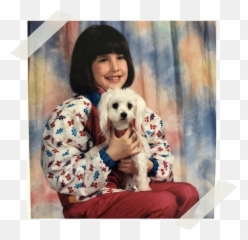 Uncategorized - Dog Clothes Emoji,Judge Judy Four Work Emotions Meme