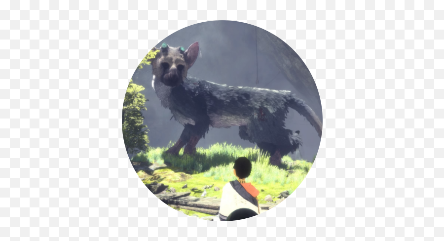 Gaf Games Of The Year 2016 - Voting Thread Voting Closed Full Body Trico The Last Guardian Emoji,Emotion Control Achievement Gow4