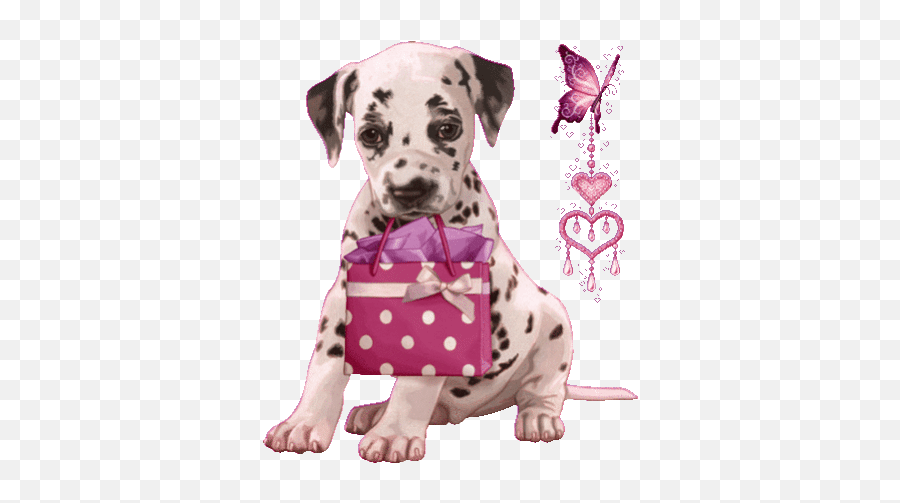 Top Love Dogs Stickers For Android - Dalmatian Happy Birthday Gif Emoji,Dog Emoticons