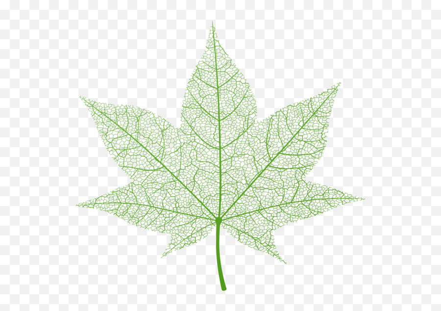 Transparent Green Autumn Leaf Png Clip - Sweetgums Emoji,Fall Keaf Emoticon