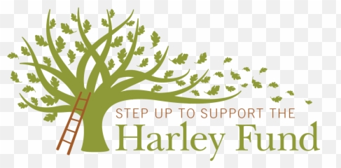 Harley Fund Spring 2021 Giving Page - Language Emoji,George Marcus Questions The Common Equation Of Emotion With: