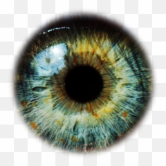 Psd De Ojo Psd Gratis - Transparent Green Eyes Png Emoji,Manos Entrelazadas Emoticon Clipart