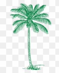 Green Palm Tree Clip Art - Green Palm Tree Clip Art Emoji,What Do Three Palm Tree Emojis