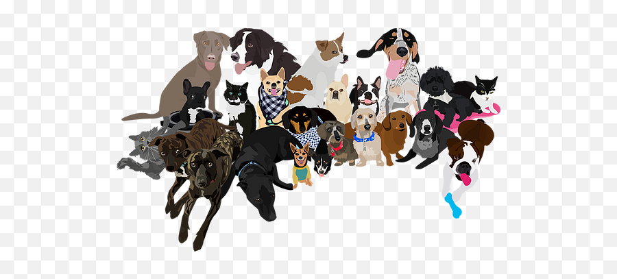 Hall Of Fame Mella Pet Care - Dog Supply Emoji,Rainbow Emoji Dogs