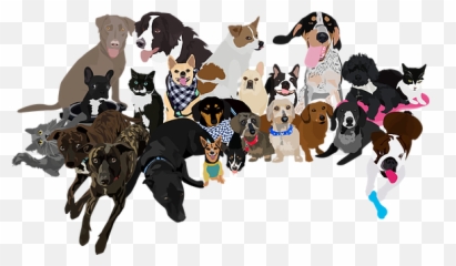 Hall Of Fame Mella Pet Care - Dog Supply Emoji,Rainbow Emoji Dogs