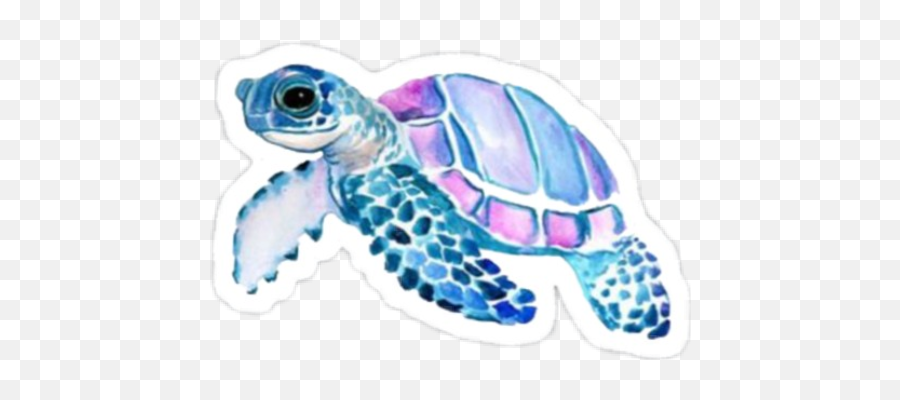 Turtle Sticker Challenge On Picsart - Transparent Background Turtle Watercolor Transparent Emoji,Sea Turtle Emoji