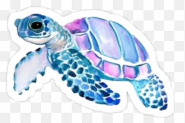 Turtle Sticker Challenge On Picsart - Transparent Background Turtle Watercolor Transparent Emoji,Sea Turtle Emoji