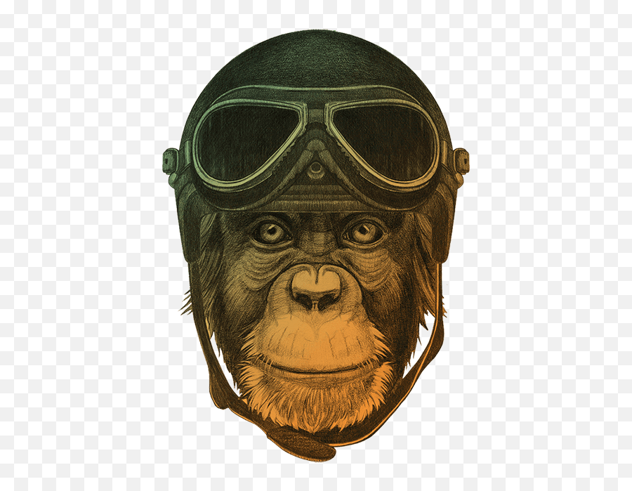 Thinker Png - Ape Thinkeru0027s Services Background Monkey Emoji,Monkey With Fowers Emojis