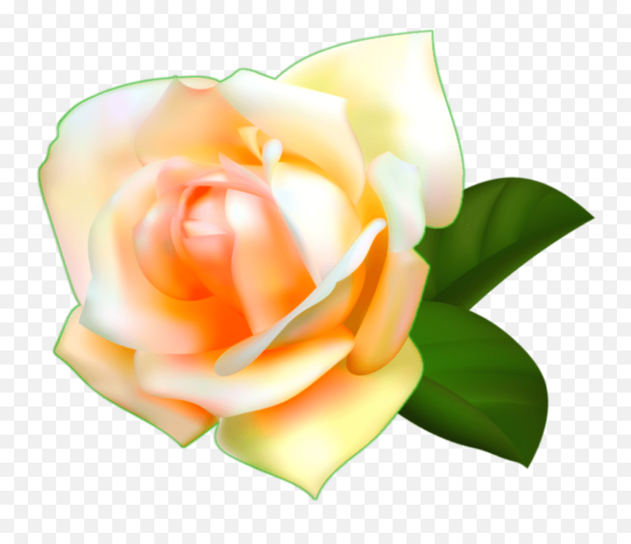 Best Transparent Iphone Rose Emoji Nachural Png Download,Pretty Rose Emoji