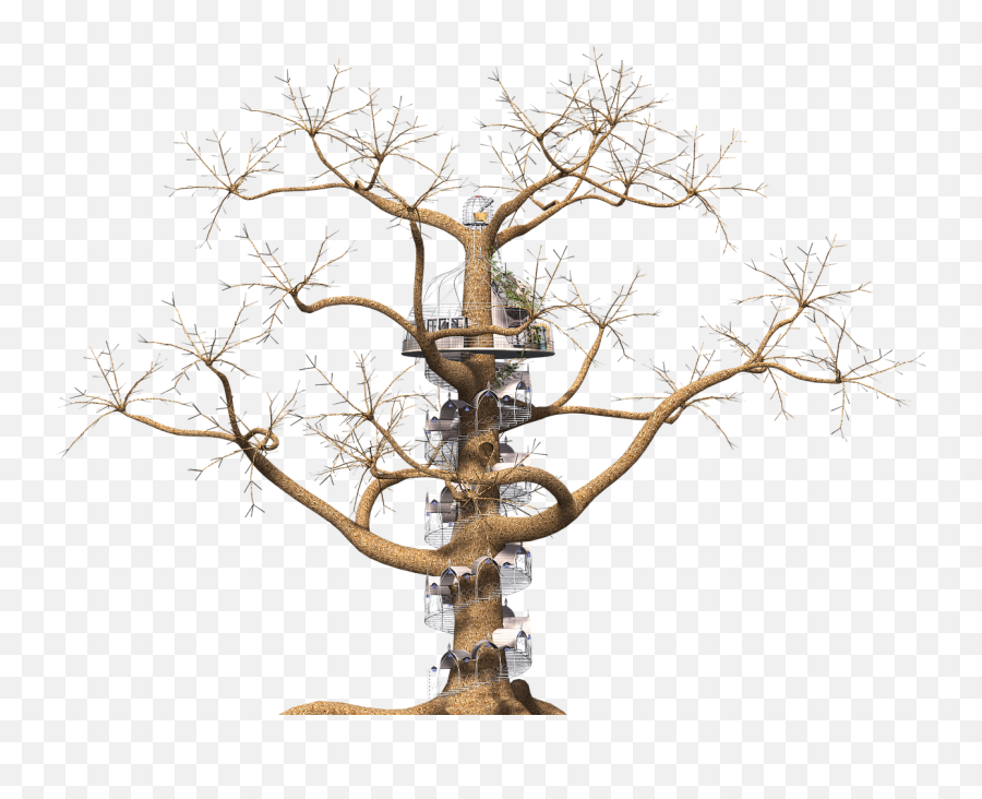 Tree Fantasy Spiral Staircase Png Picpng Emoji,Stair Emoticon