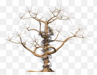 Tree Fantasy Spiral Staircase Png Picpng Emoji,Stair Emoticon