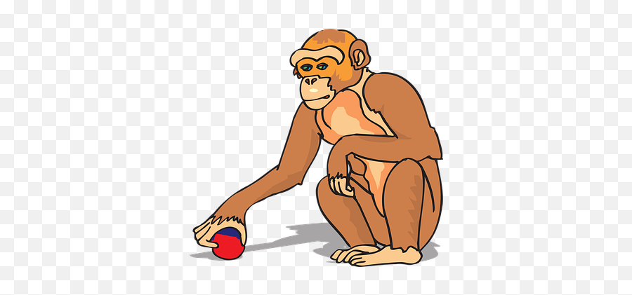 Free Chimp Chimpanzee Images Emoji,Chimp Emotions