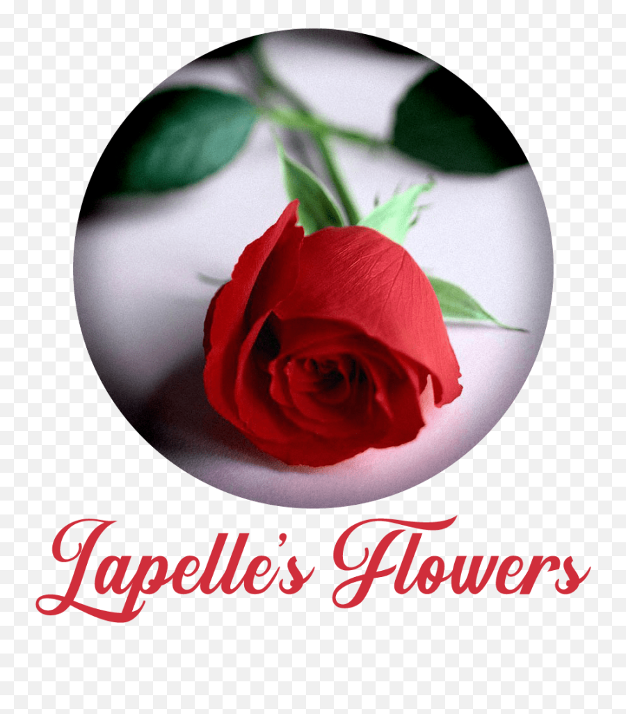 Midland Florist Flower Delivery By Lapelleu0027s Flowers U0026 Gifts - Day Emoji,Deep Emotion Rose Bouquet Ftd