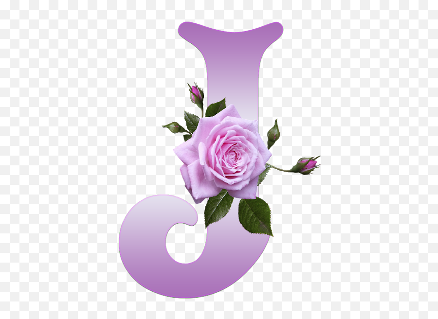 Buchstabe - Letter J Lettering Alphabet Alphabet Design Flower Transparent Background Emoji,Letter J Emoji