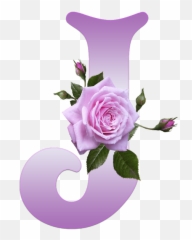 Buchstabe - Letter J Lettering Alphabet Alphabet Design Flower Transparent Background Emoji,Letter J Emoji