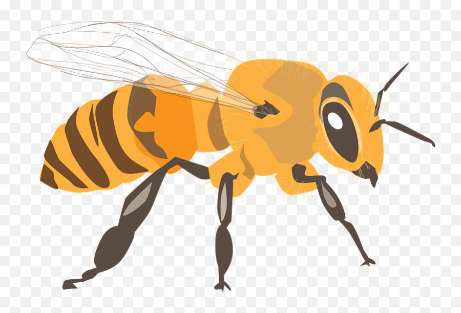 Bee Clipart Free Download Transparent Png Creazilla - Rules For Spelling Bee Emoji,Honey Bee Emoji