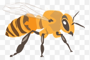 Bee Clipart Free Download Transparent Png Creazilla - Rules For Spelling Bee Emoji,Honey Bee Emoji