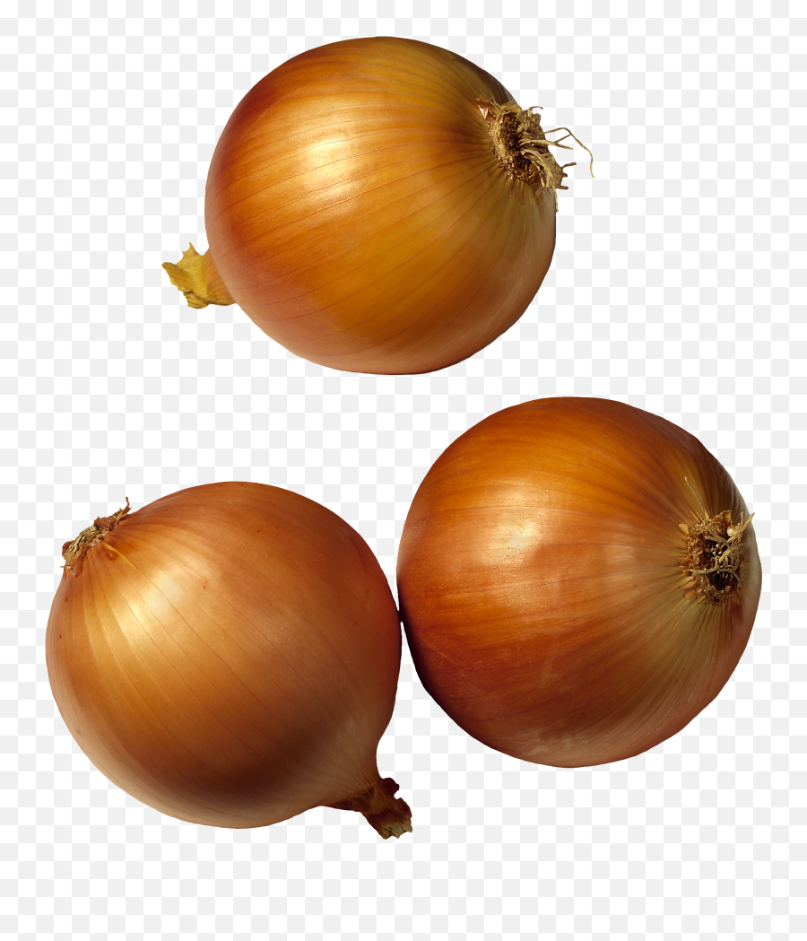 Face Clipart Onion Face Onion - Clipart Transparent Onions Emoji,Onions Emoji