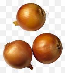 Face Clipart Onion Face Onion - Clipart Transparent Onions Emoji,Onions Emoji