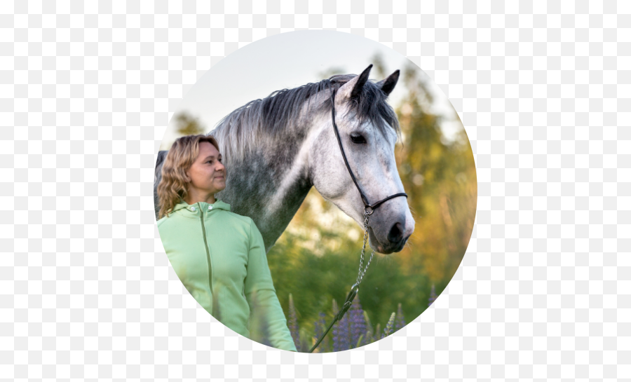 Equine Facilitated Wellness - Bridle Emoji,Equine Emotions