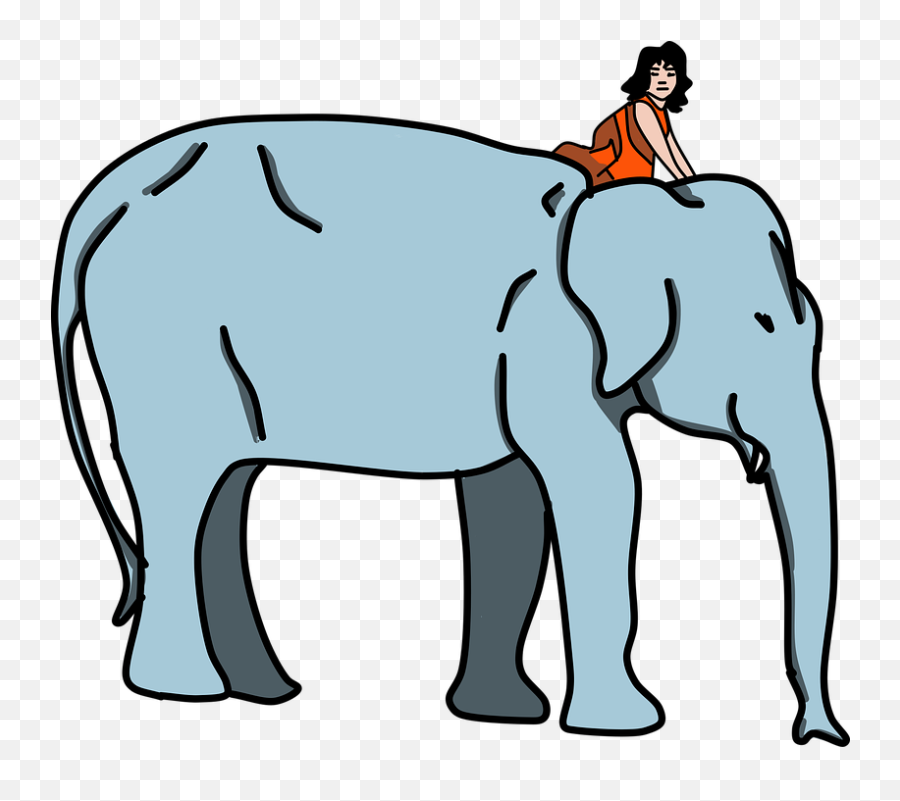 Girl Mammals Elephant Nature - Cuento De Los Tres Ciegos Emoji,Pbs Elephant Emotions