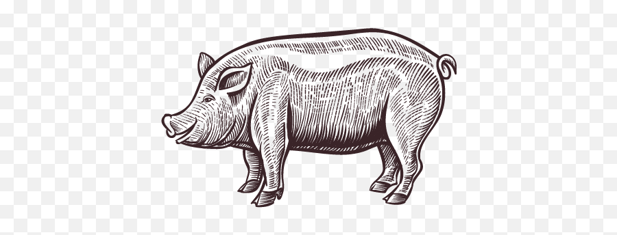 Home - Herfurth Meats Pork Sketch Emoji,Raw Emotion Hereford Boar