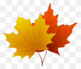 Fall Maple Leaves Png Decorative - Maple Tree Leaf Clipart Emoji,Fall Leaf Emoji