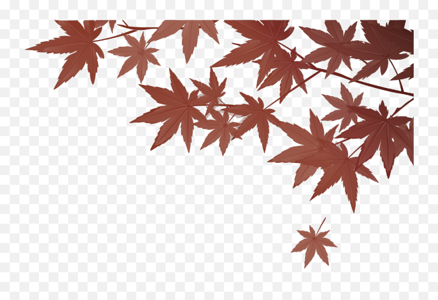 Freetoedit Leaf Sticker By M E R Y E M - Sfondi Per Scrivere Hd Autunno Emoji,Leaf Emoji