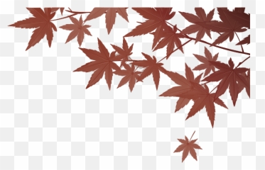 Freetoedit Leaf Sticker By M E R Y E M - Sfondi Per Scrivere Hd Autunno Emoji,Leaf Emoji