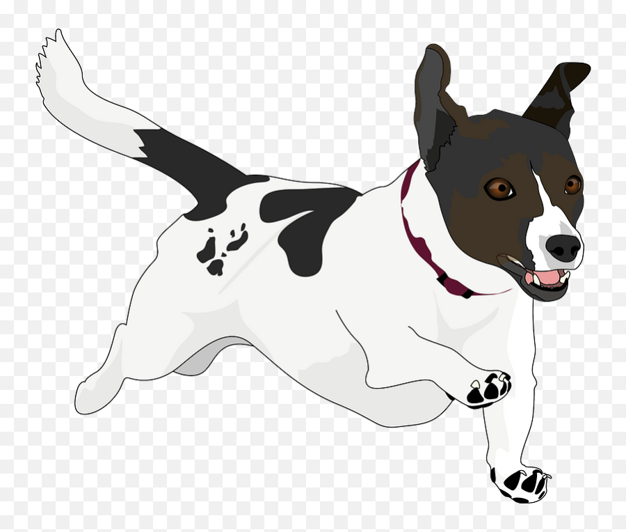 Jack Russell Terrier Clipart - Northern Breed Group Emoji,Jack Russell Emoji