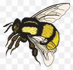Bumble Bee Free Cute Bee Clip Art An A Cute Bee Clipartbold - Realistic Bee Clip Art Emoji,Honey Bee Emoji