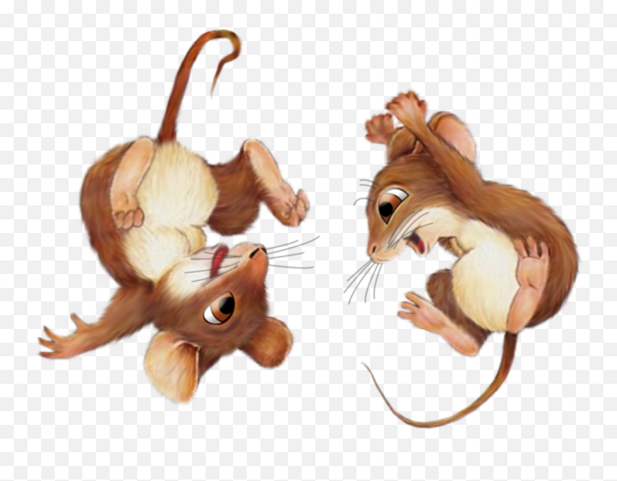 Mice Cute Play Mouse Sticker By Bombaloounderpants - Animated Mouse Gif Png Emoji,Mice Emoji