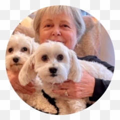 Mspca - Cavachon Emoji,Emoticon Alexandra Socha