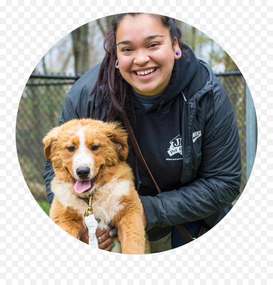 Daycare In Jm Pet Resort - Brockton Northern Breed Group Emoji,What Emotions Do Dogs Have Sharon Maguire