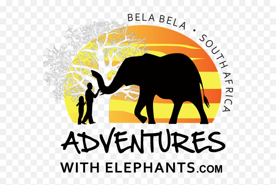 Research Adventures With Elephants - Adventures With Elephants Emoji,Inside Out Emotions Elephtant