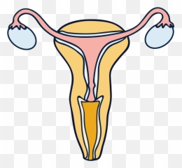 Menopause Treatment - Sketch Emoji,Menopause Emotions Meme