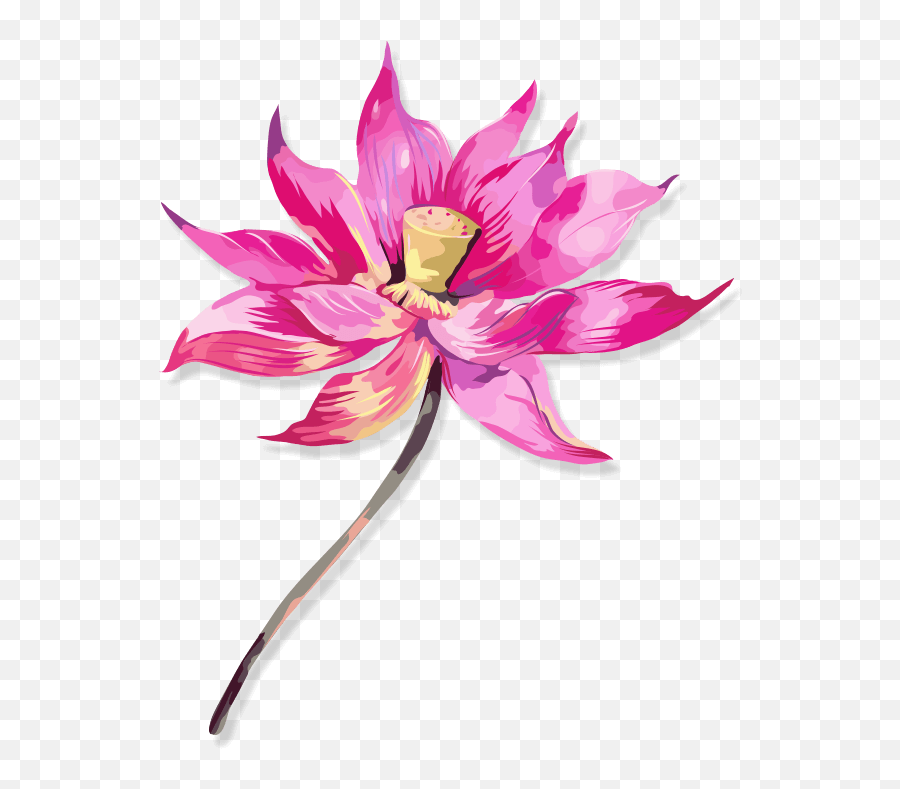 Sparks Yoga U2013 Together We Spark Emoji,Lotus Emoji Flower