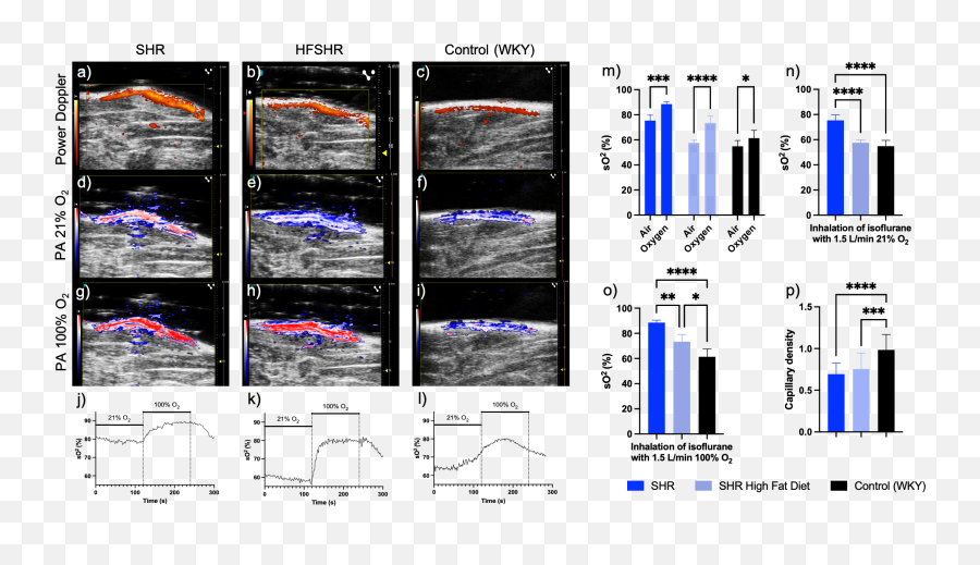 Id Ga2 Contrast And Resolution Enhancement In Clinical Mri Emoji,Emoji Song Maker Gd Colon\